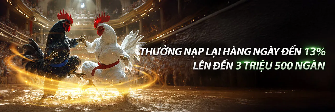 Đá gà trực tuyến BJ88 với những trận đấu kịch tính